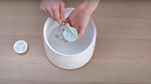 How to Clean Your eufy Pet Water Fountain